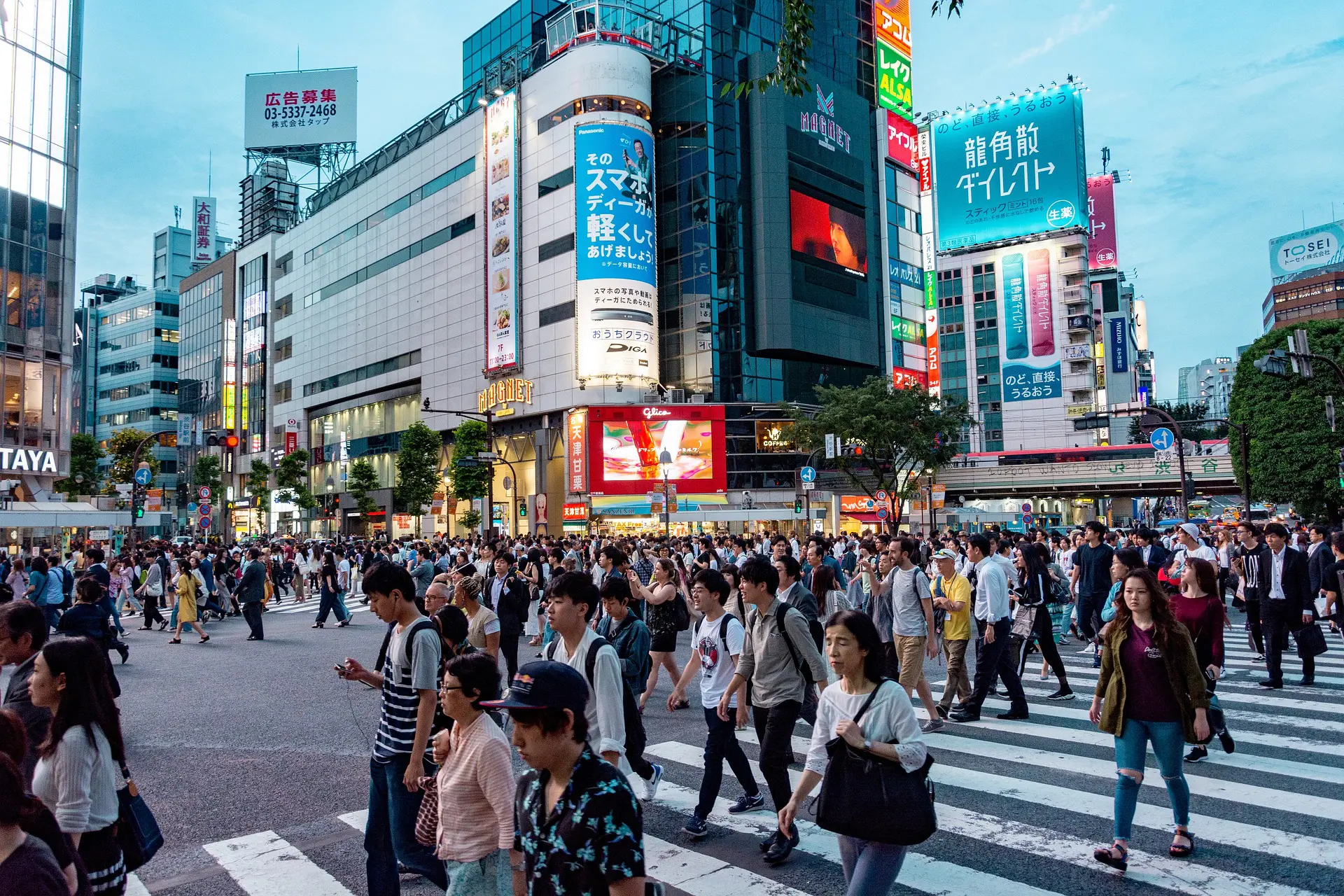 Como é a vida no Japão?
