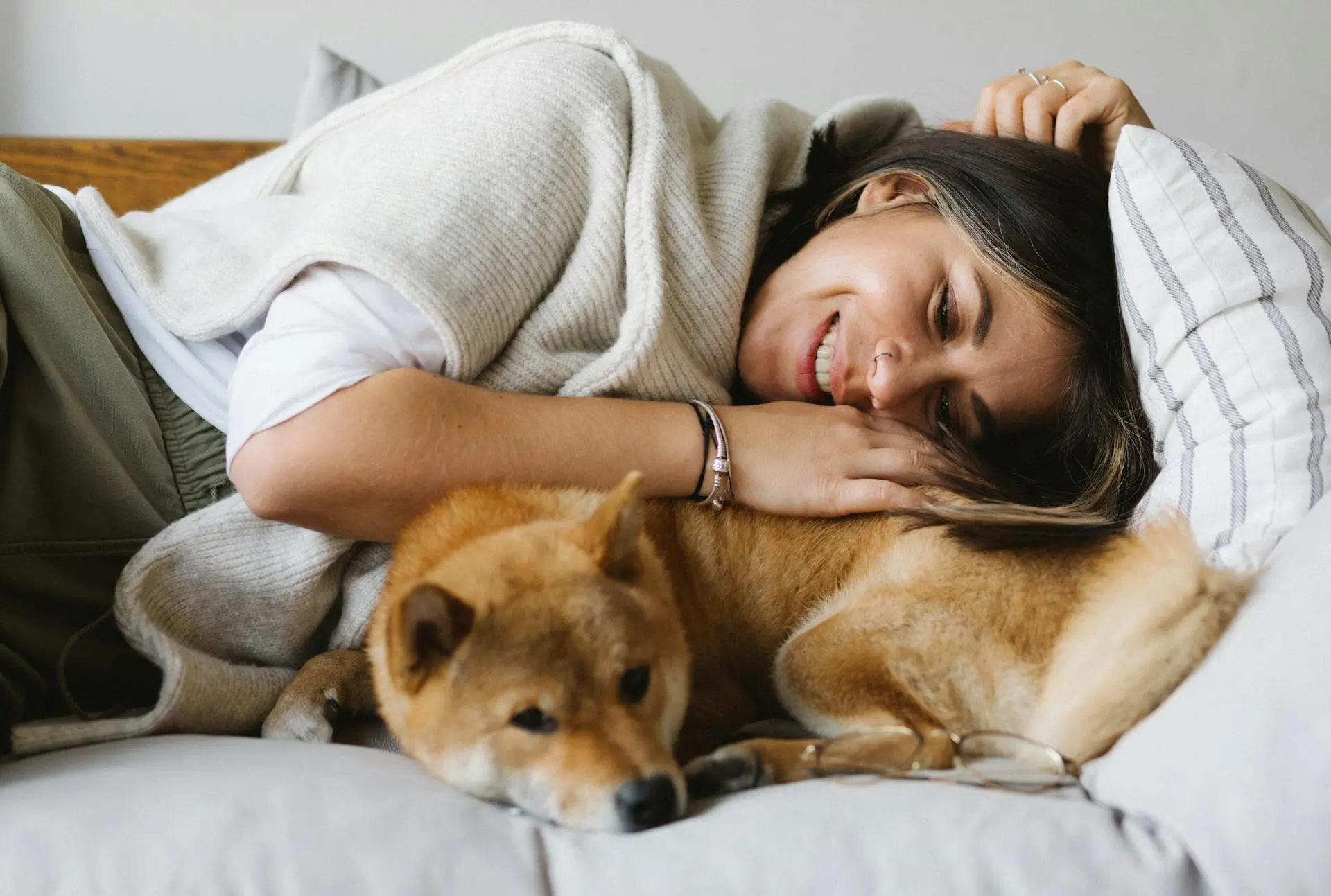 Pets e divórcio: com quem fica o animal quando um casal se separa?
