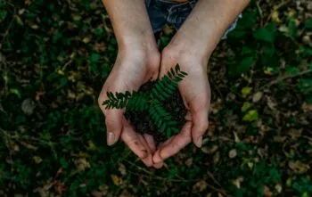 15 Atividades sobre Reciclagem para Crianças de Até 10 Anos