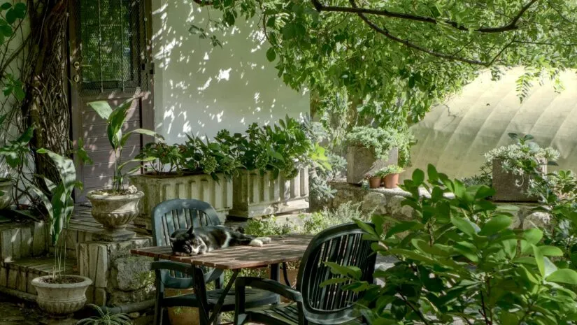 Manter o jardim em dia é mais econômico do que você imagina Manter o jardim em dia é mais econômico do que você imagina