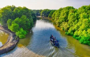 O Papel do Rapé em Rituais de Autocuidado e Bem-Estar
